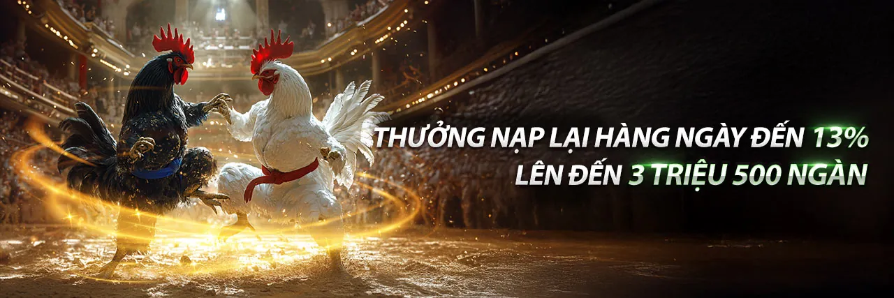 Sân chơi đá gà trực tuyến df9988 với các chiến kê dũng mãnh